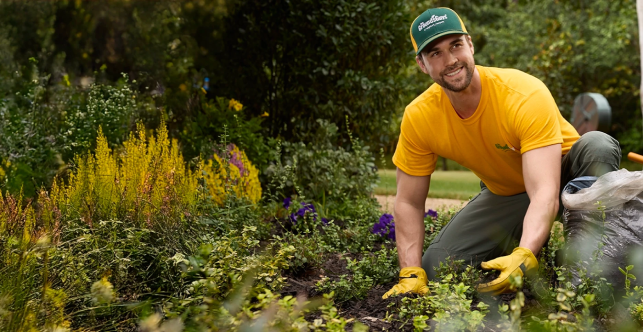 GUY employee maintaining a garden bed.