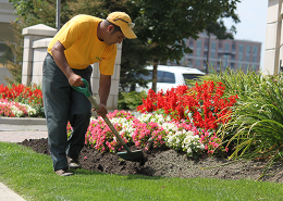 Clean and well-maintained garden.