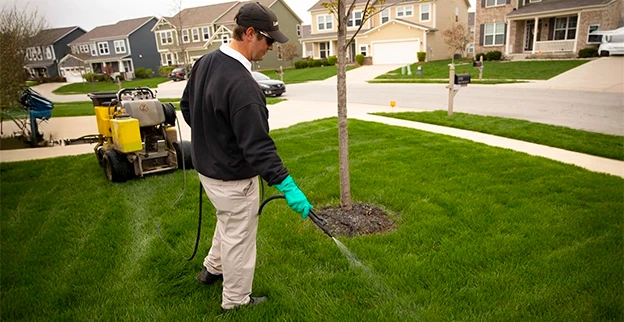 A lawn care worker spraying liquid treatment onto a green lawn.