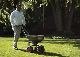A person pushing a lawn spreader across a grassy yard.