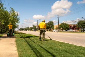 Manual seed spreader.