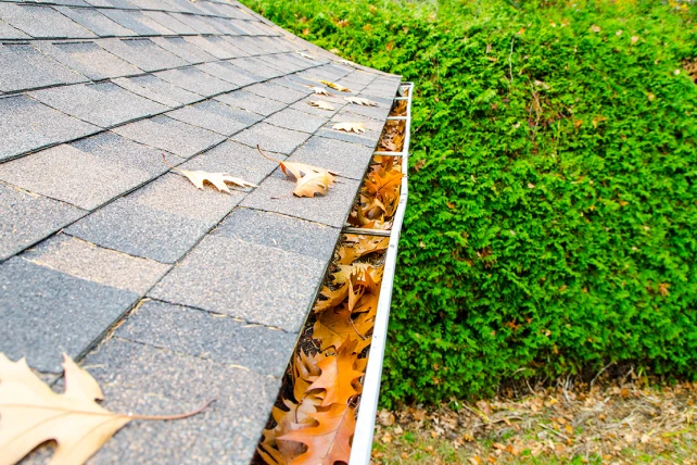 Leaves accumulating in a gutter along a sloped roof.