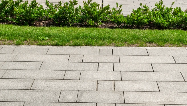 A paved walkway next to a strip of grass and green bushes.