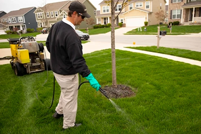 Lawn care professional treating grass around a tree in a residential yard.