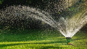 Sprinklers spraying green lawn.