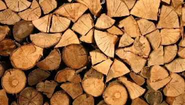 Stack of firewood.