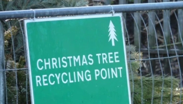 Christmas tree recycling center
