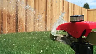 Sprinkler watering a backyard.