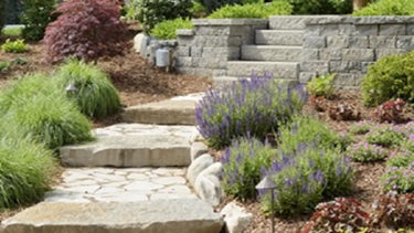 Landscaping with steps, and plantings.