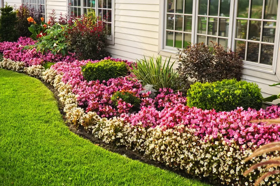 colorful flowerbed landscaping