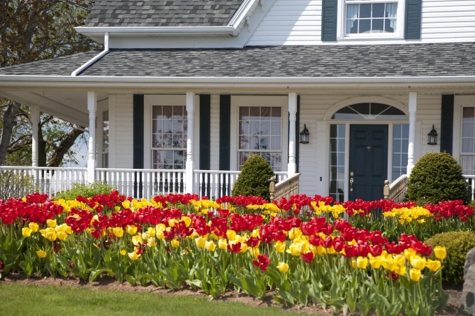 two story white home with red and yellow tulips in front