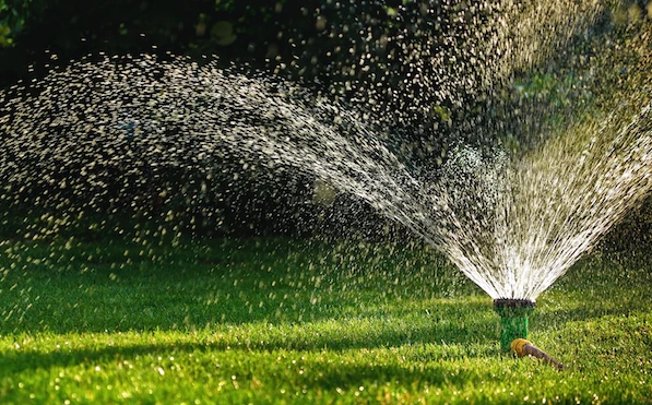 sprinklers watering lawn