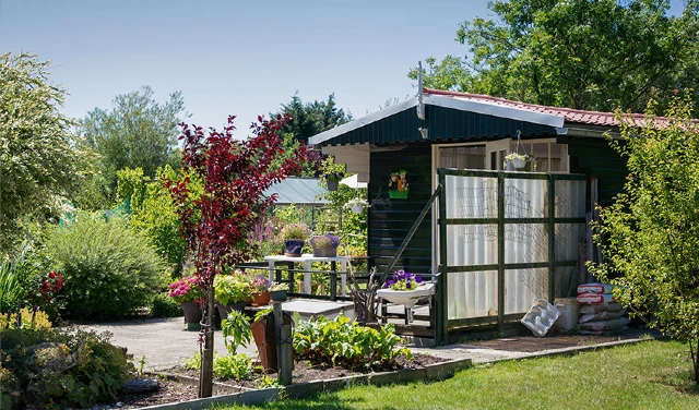 Garden area in front of she shed