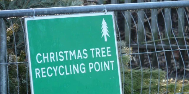Christmas tree recycling center