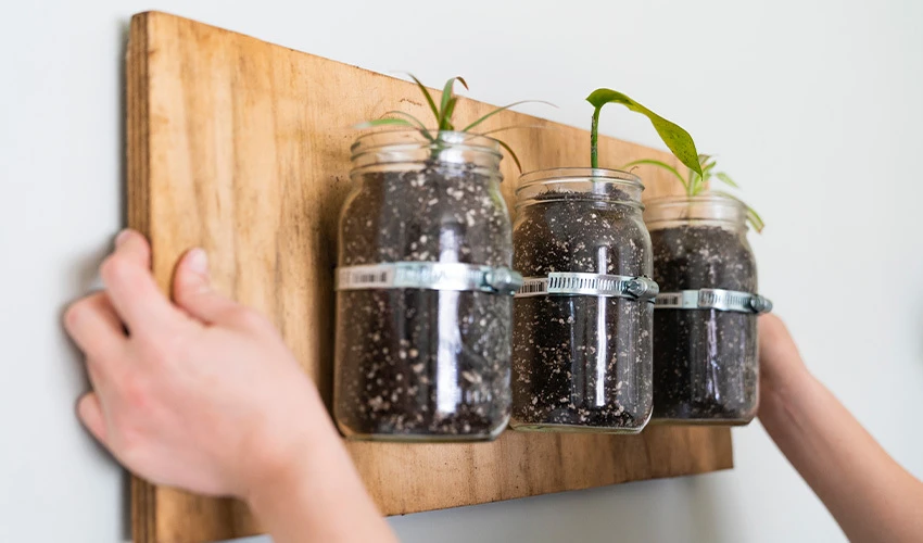 DIY wood wall planter with ball jars.