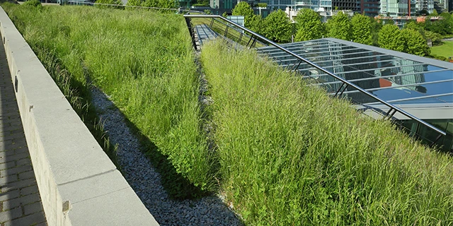 green roof