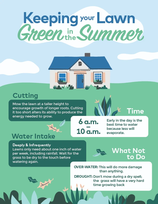 Keeping your lawn green in the summer infographic.