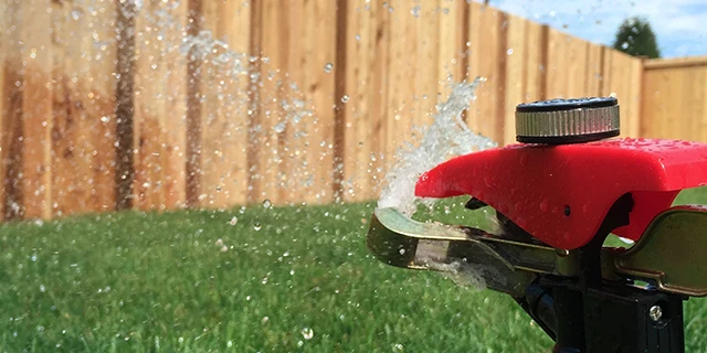 Close-up of sprinkler watering lawn.