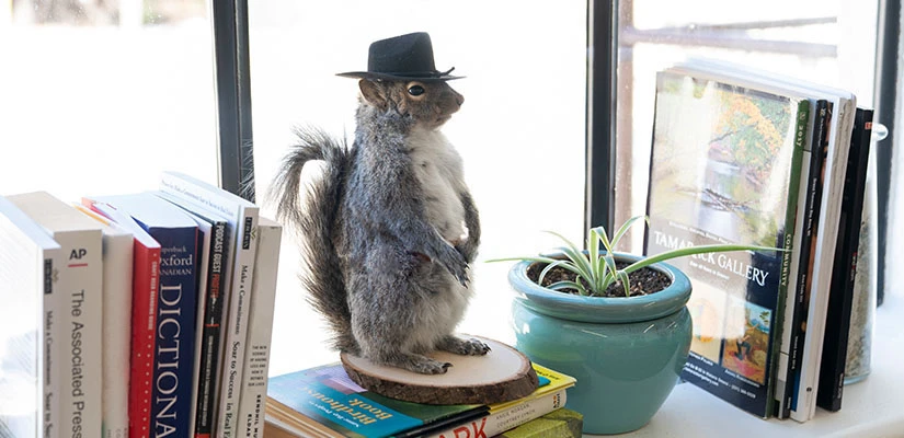 book shelf with squirrel wearing a hat decoration