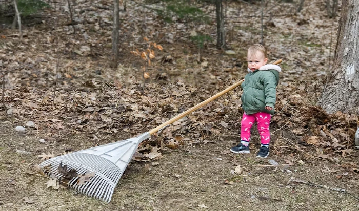 Toddler holding a rake in a leaf covered yard