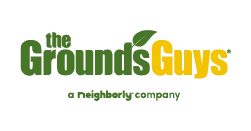 The Grounds Guys Logo