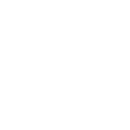 white phone icon