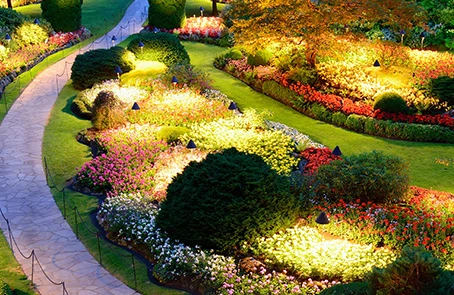 Residential flower bed along a lit stone path.