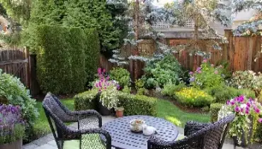 Image of a backyard makeover.