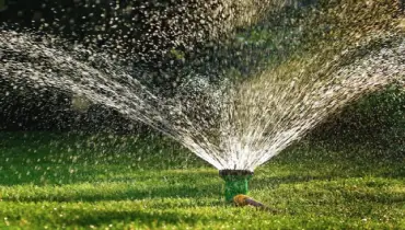 sprinkler watering a lawn.
