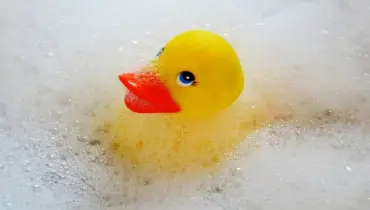 yellow rubber ducky floating in soapy water.