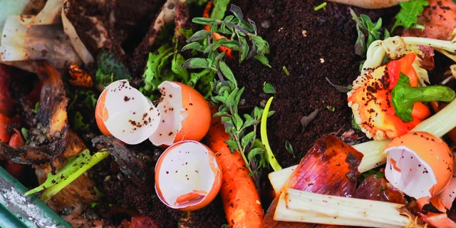 Cracked eggs and fresh vegetables in soil.
