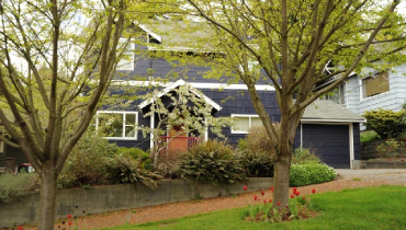 Large trees in front of home.