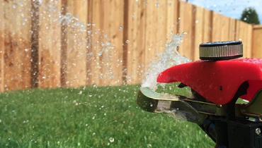 Sprinkler watering a back yard.