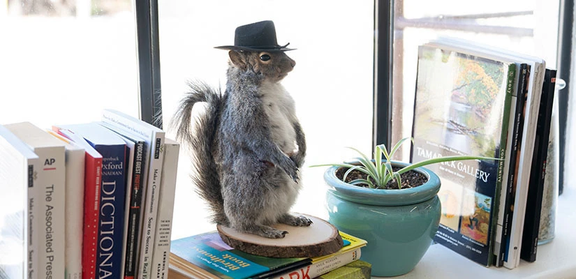 Book shelf with squirrel wearing a hat decoration.